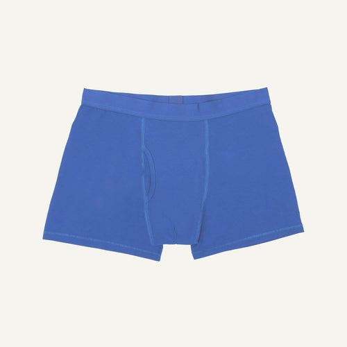 A pair of gale blue organic cotton men's boxer briefs.