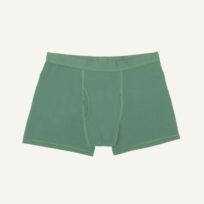 Willow green men's boxer brief